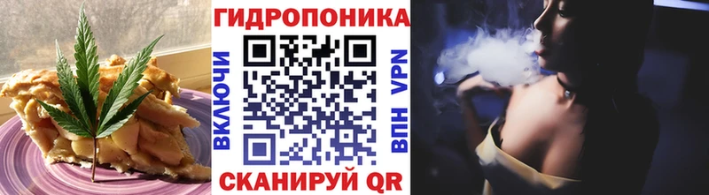 наркотики  Шенкурск  маркетплейс как зайти  Еда ТГК конопля 