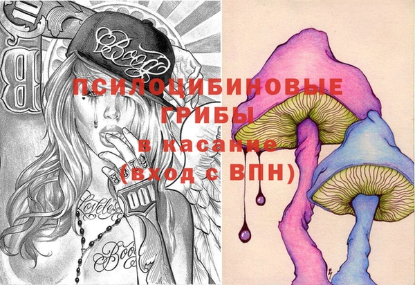 шишки Абдулино